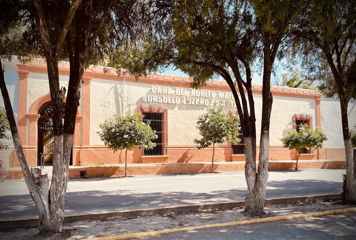 Casa Del Adulto Mayor Consuelo Lozano De Botello