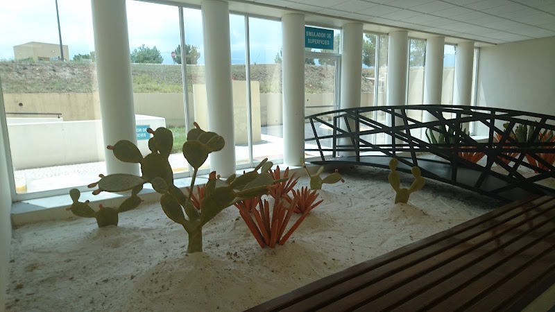Centro Estatal del Adulto Mayor