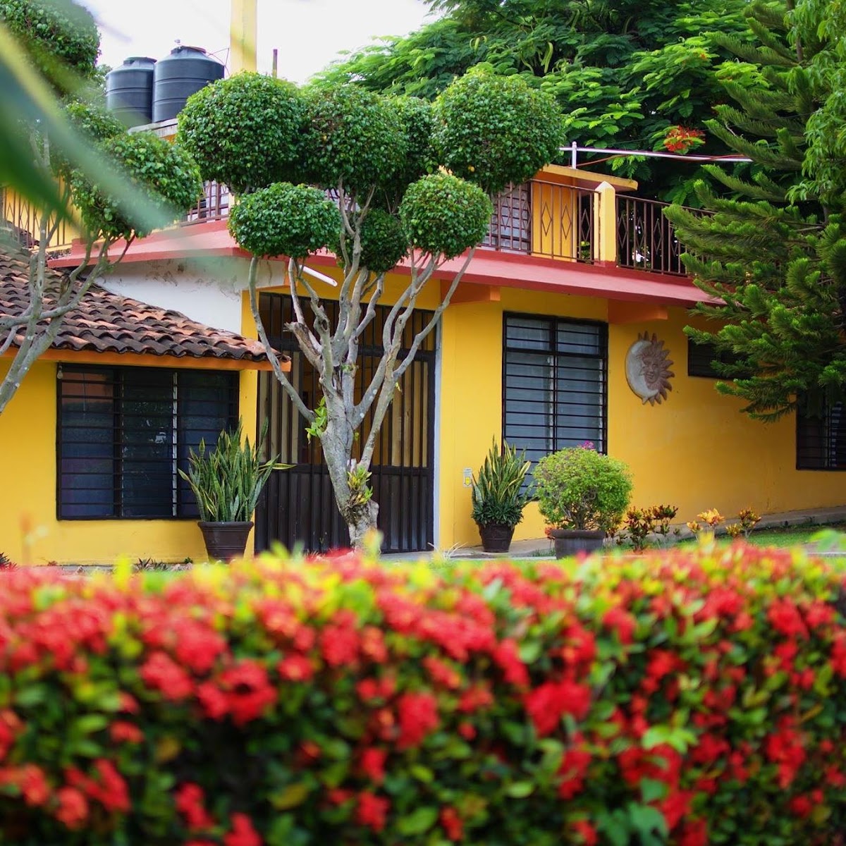 Casa Geriátrica Villa Primavera