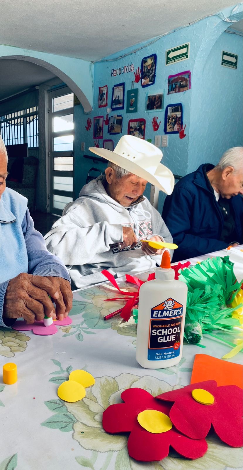 Hogar de los abuelos 2