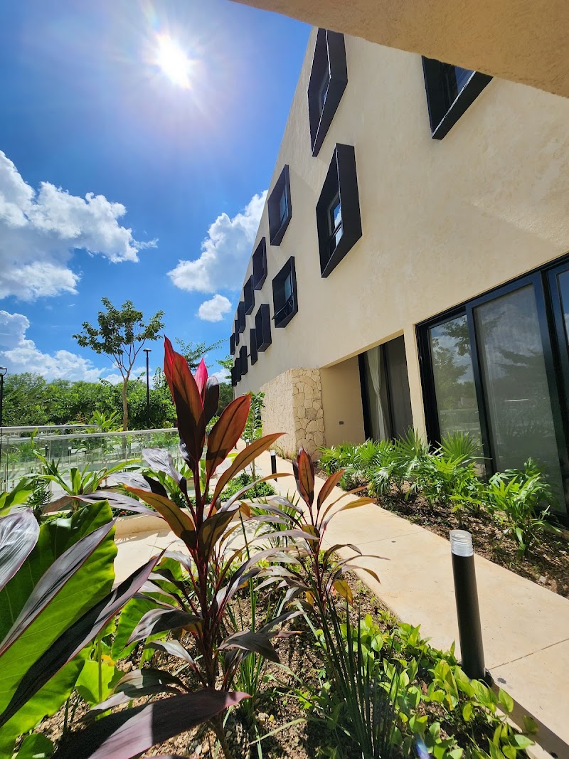 Casa Elite Senior Living