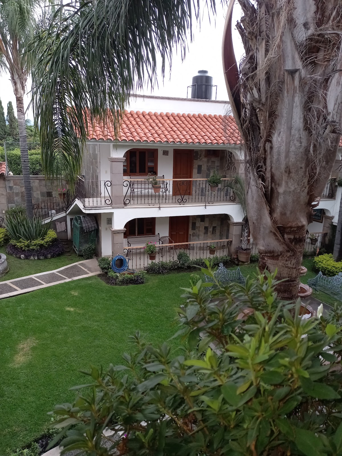 Asilos en Cuernavaca