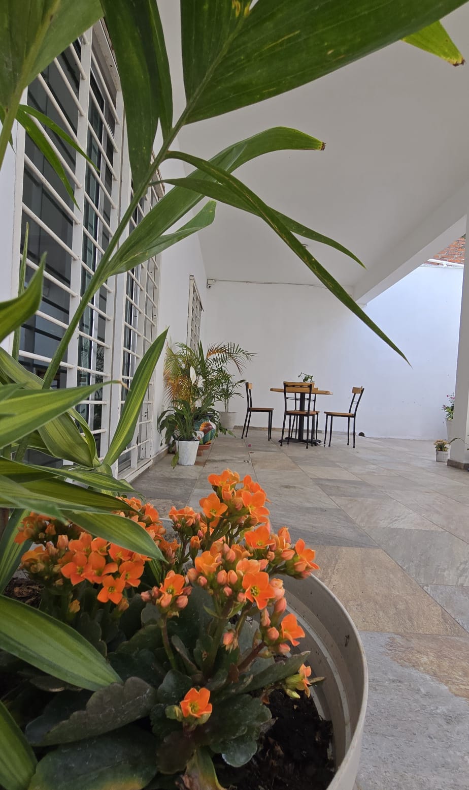 Altavida Casa de Retiro